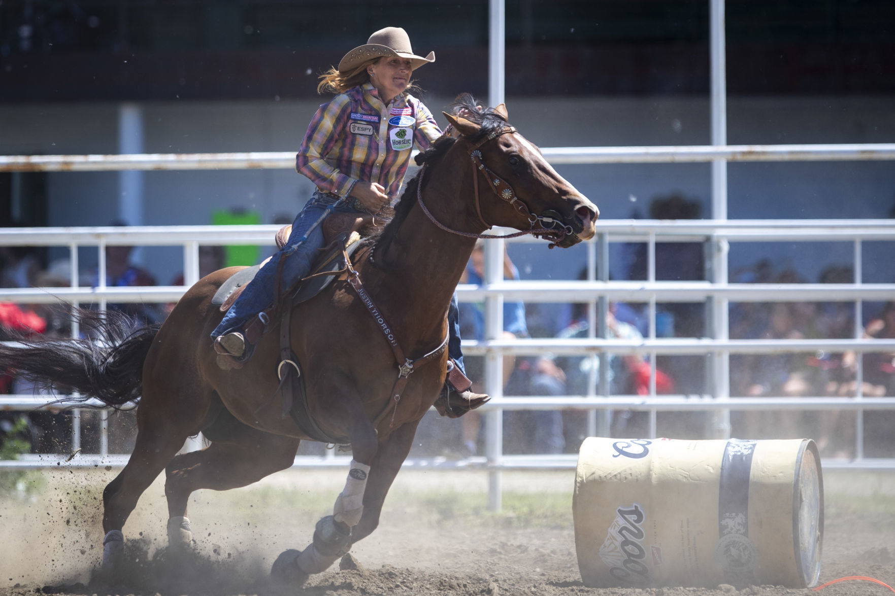 Rodeo Roundup